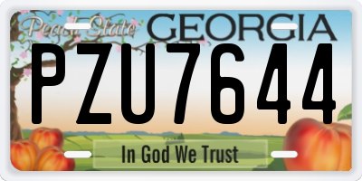 GA license plate PZU7644