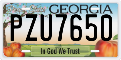 GA license plate PZU7650