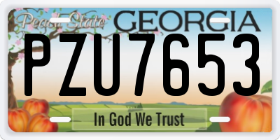 GA license plate PZU7653
