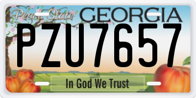 GA license plate PZU7657