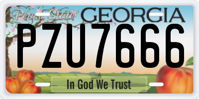 GA license plate PZU7666