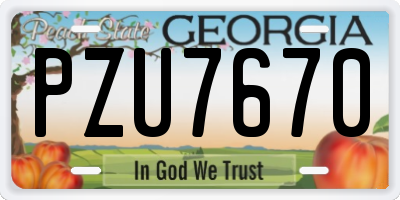 GA license plate PZU7670