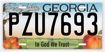 GA license plate PZU7693