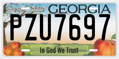 GA license plate PZU7697
