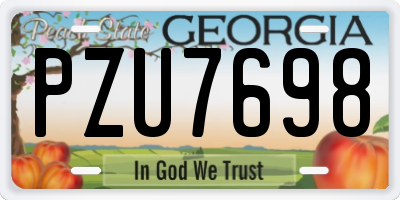 GA license plate PZU7698