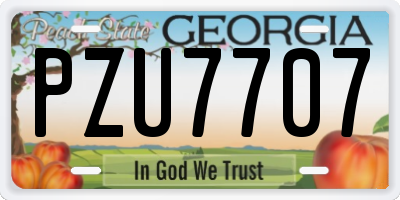 GA license plate PZU7707