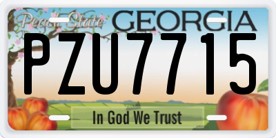 GA license plate PZU7715