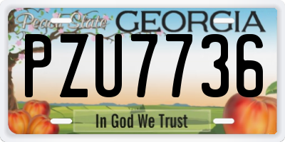 GA license plate PZU7736