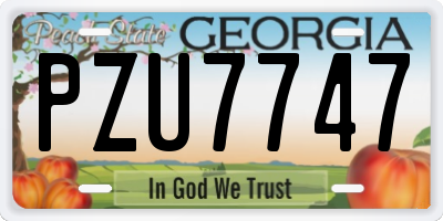GA license plate PZU7747
