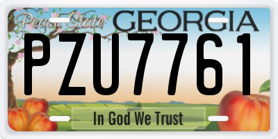 GA license plate PZU7761