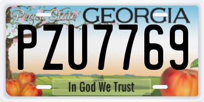 GA license plate PZU7769