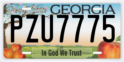 GA license plate PZU7775