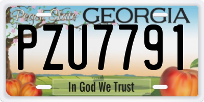 GA license plate PZU7791
