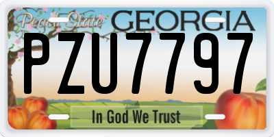 GA license plate PZU7797