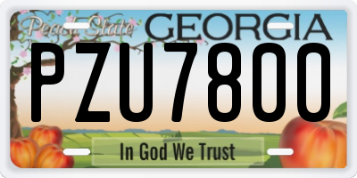 GA license plate PZU7800