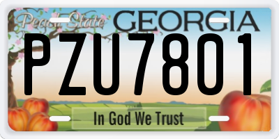 GA license plate PZU7801