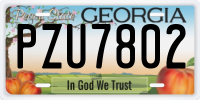 GA license plate PZU7802
