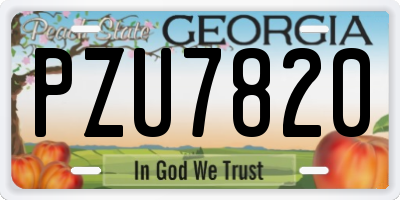 GA license plate PZU7820