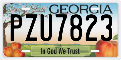 GA license plate PZU7823