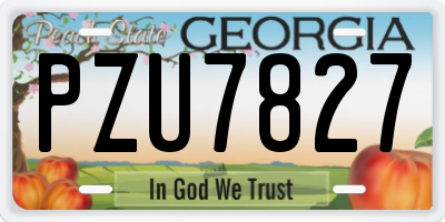 GA license plate PZU7827