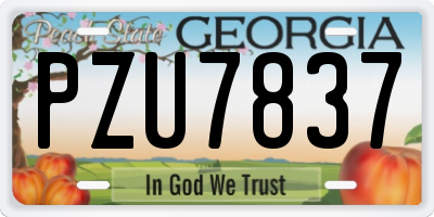GA license plate PZU7837