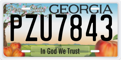 GA license plate PZU7843