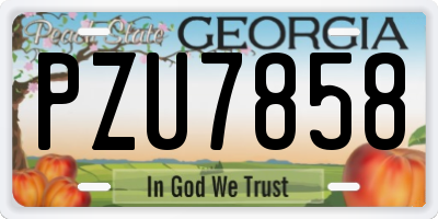 GA license plate PZU7858