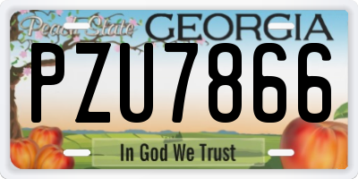 GA license plate PZU7866