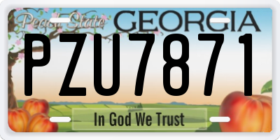 GA license plate PZU7871