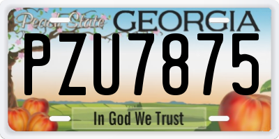 GA license plate PZU7875