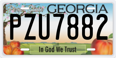 GA license plate PZU7882