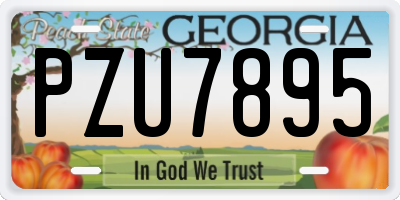GA license plate PZU7895