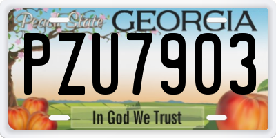 GA license plate PZU7903