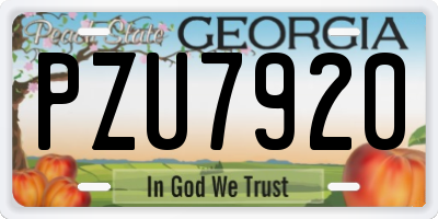 GA license plate PZU7920