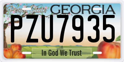 GA license plate PZU7935