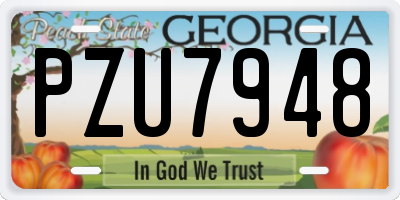 GA license plate PZU7948