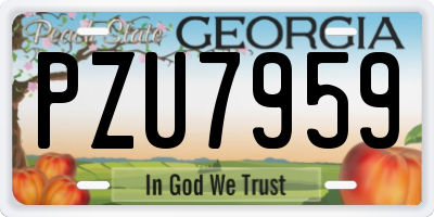 GA license plate PZU7959