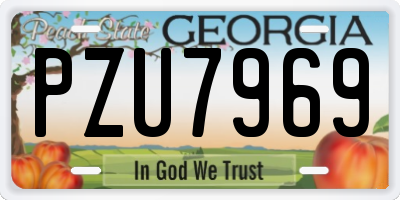 GA license plate PZU7969