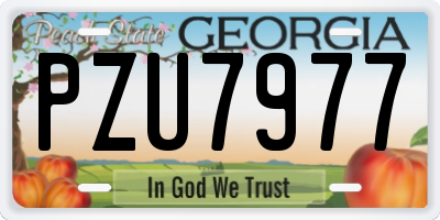 GA license plate PZU7977