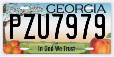 GA license plate PZU7979