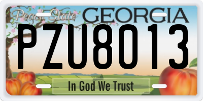 GA license plate PZU8013