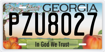 GA license plate PZU8027