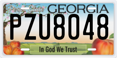 GA license plate PZU8048