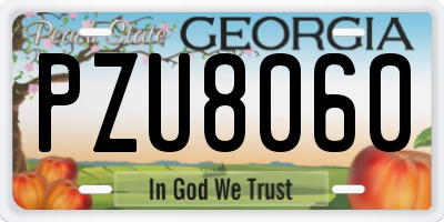 GA license plate PZU8060