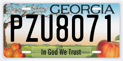 GA license plate PZU8071