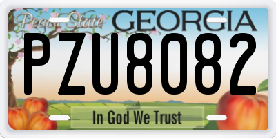 GA license plate PZU8082