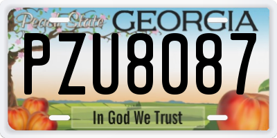 GA license plate PZU8087