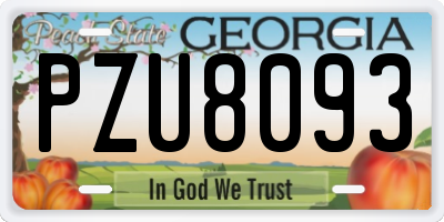 GA license plate PZU8093