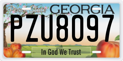 GA license plate PZU8097