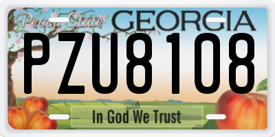 GA license plate PZU8108